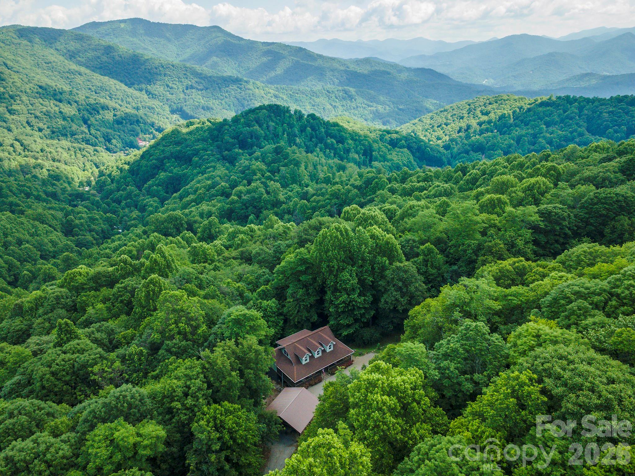 78 Spellbound Road Waynesville, NC 28785 - Photo 5 of 45