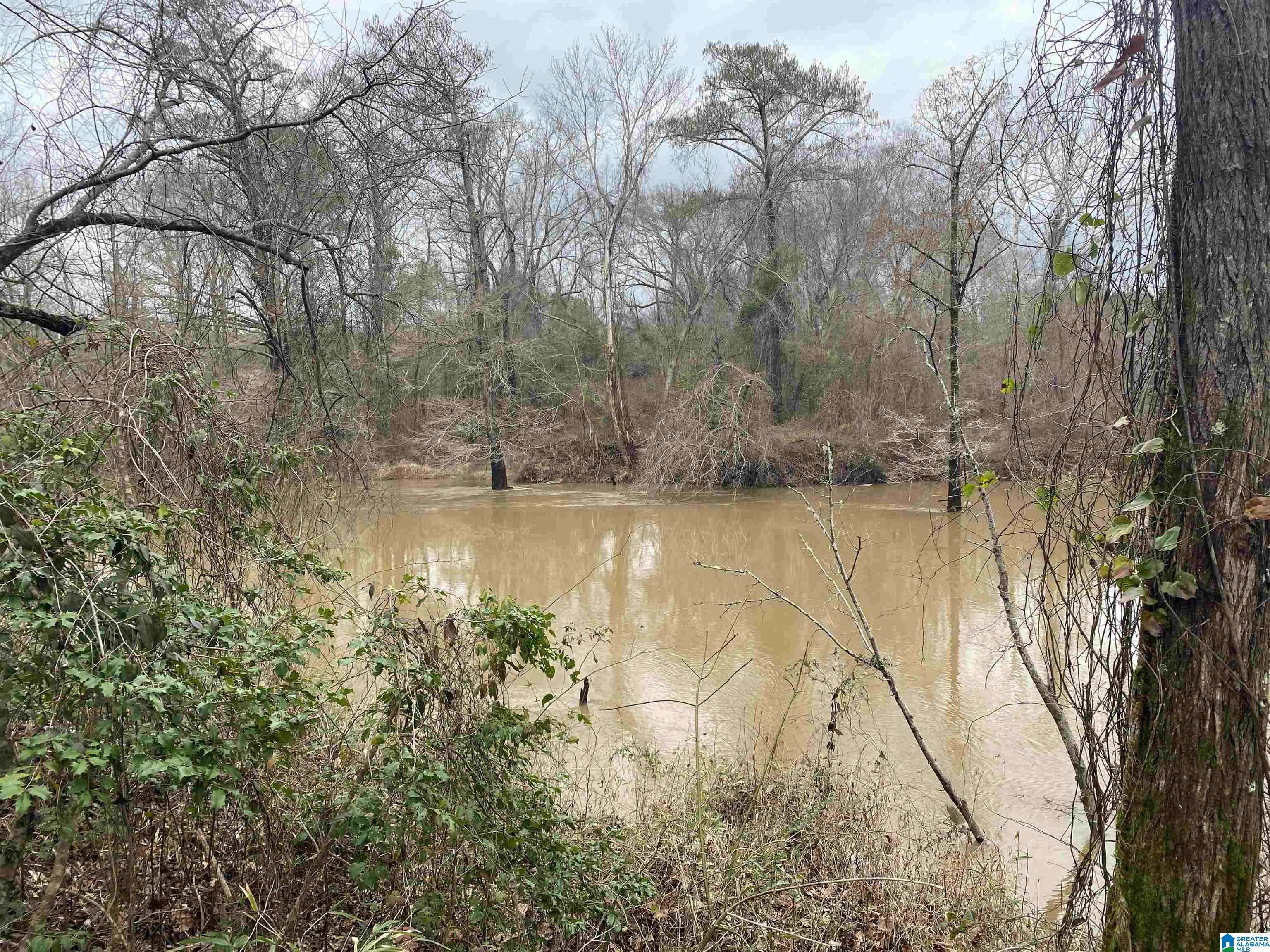 0 Cardinal Lane Eutaw, AL 35462 - Photo 12 of 16