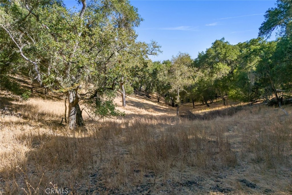 2175 San Fernando Road Atascadero, CA 93422 - Photo 31 of 35 Gallery Image 31