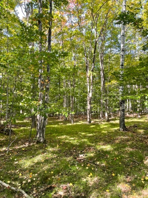 Old Lime Kiln Road Baileys Harbor, WI 54202 - Photo 10 of 14