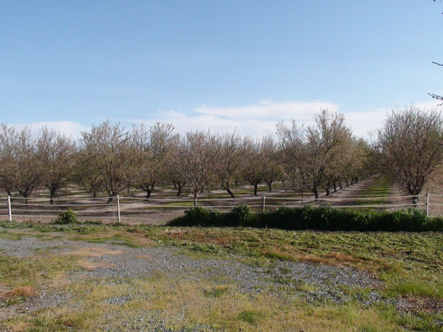 20700 Gawne Road Stockton, CA 95215 - Photo 25 of 25 Gallery Image 25