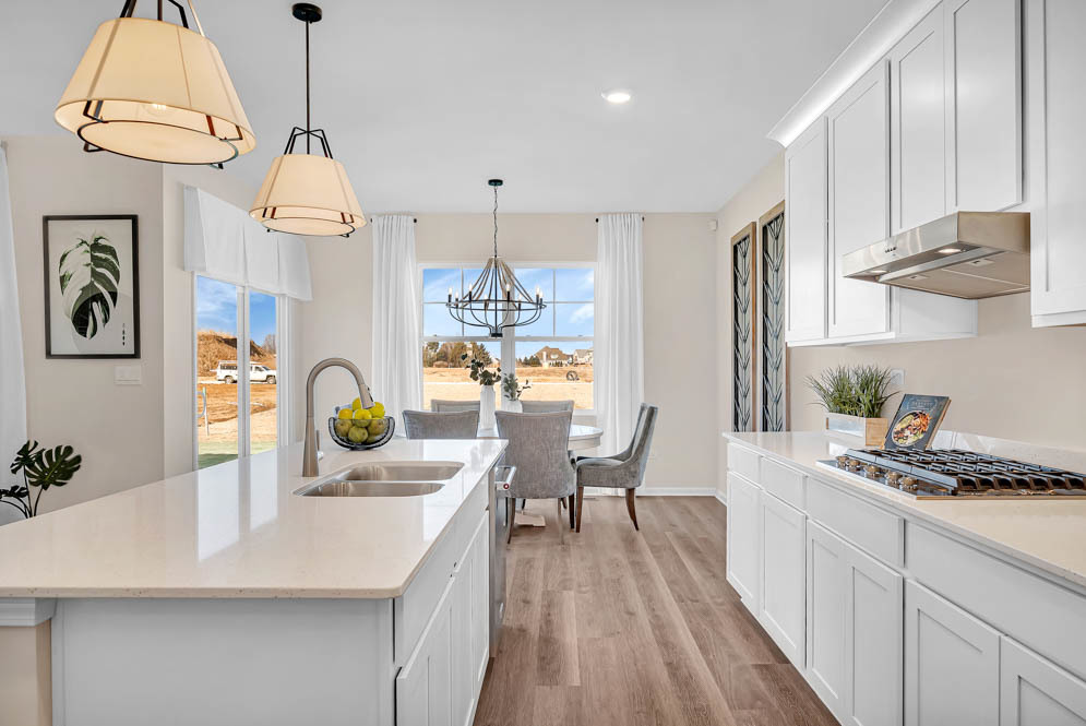 291 Snowdrop Lane Elgin, IL 60124 - Photo 12 of 28