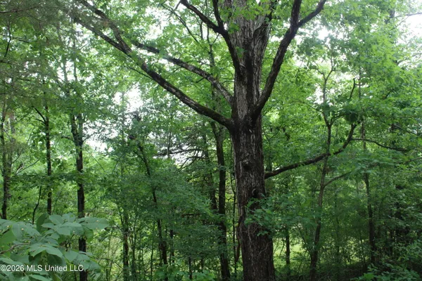 $169,000 | 590 Richmond Road, Byhalia, MS 38611