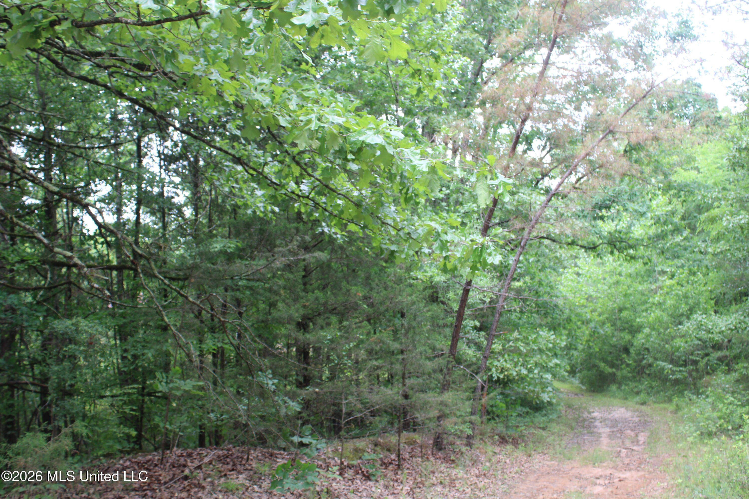 590 Richmond Road Byhalia, MS 38611 - Photo 11 of 11 IMG_7765