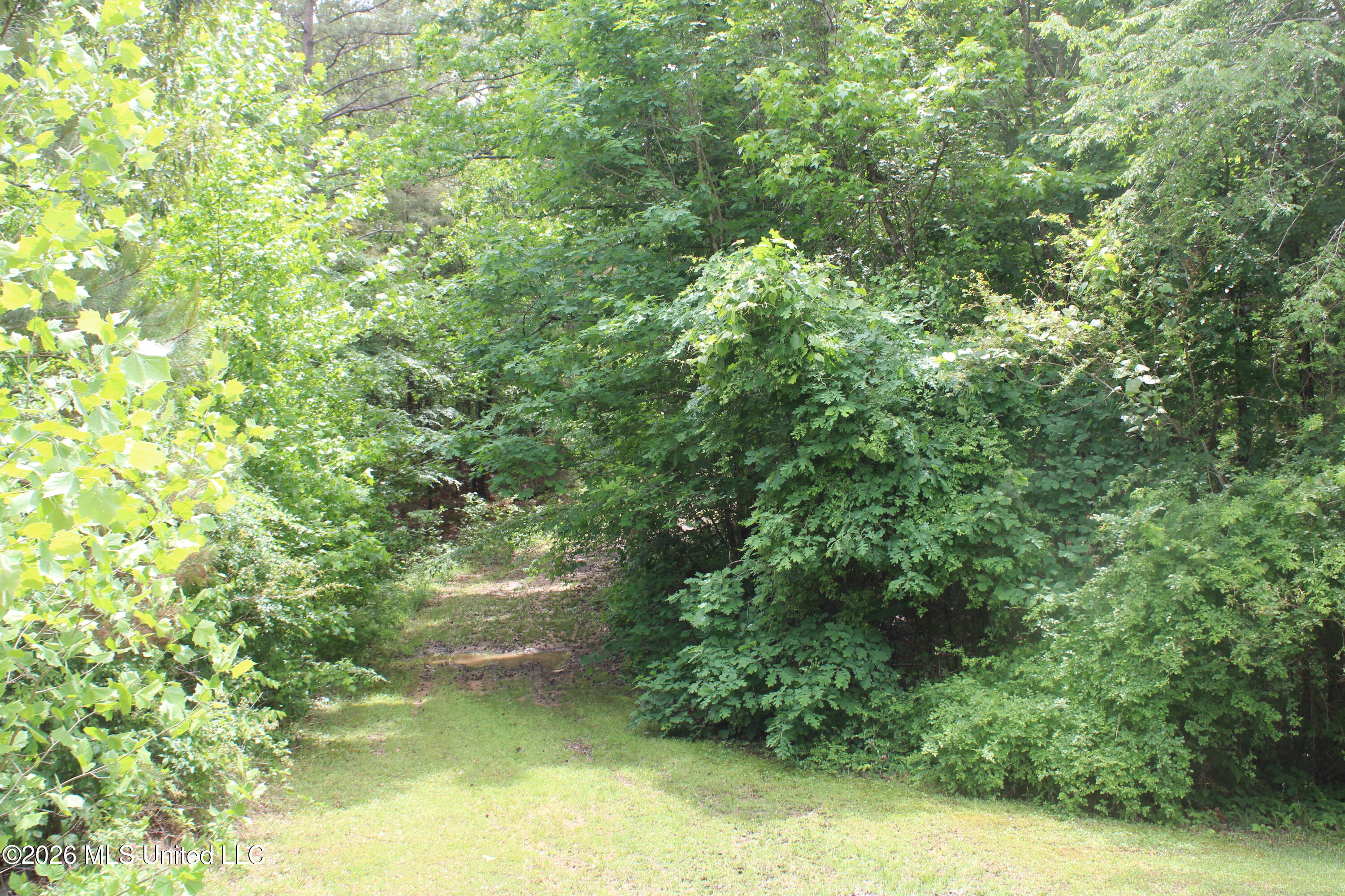590 Richmond Road Byhalia, MS 38611 - Photo 2 of 11 IMG_7755