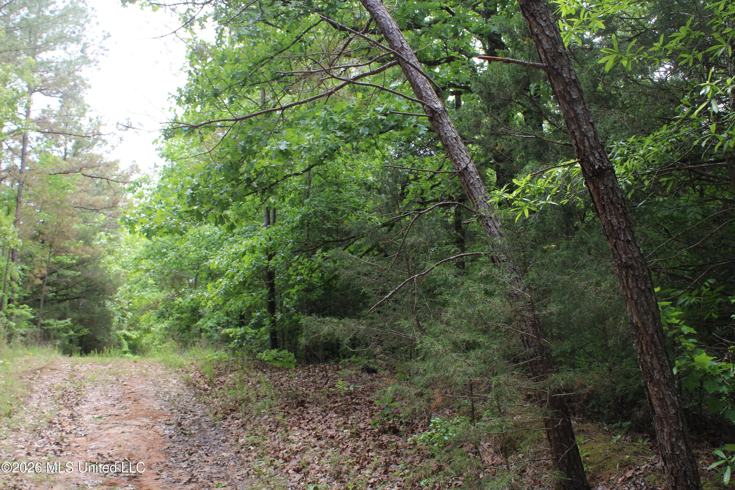 590 Richmond Road Byhalia, MS 38611 - Photo 5 of 11 IMG_7758