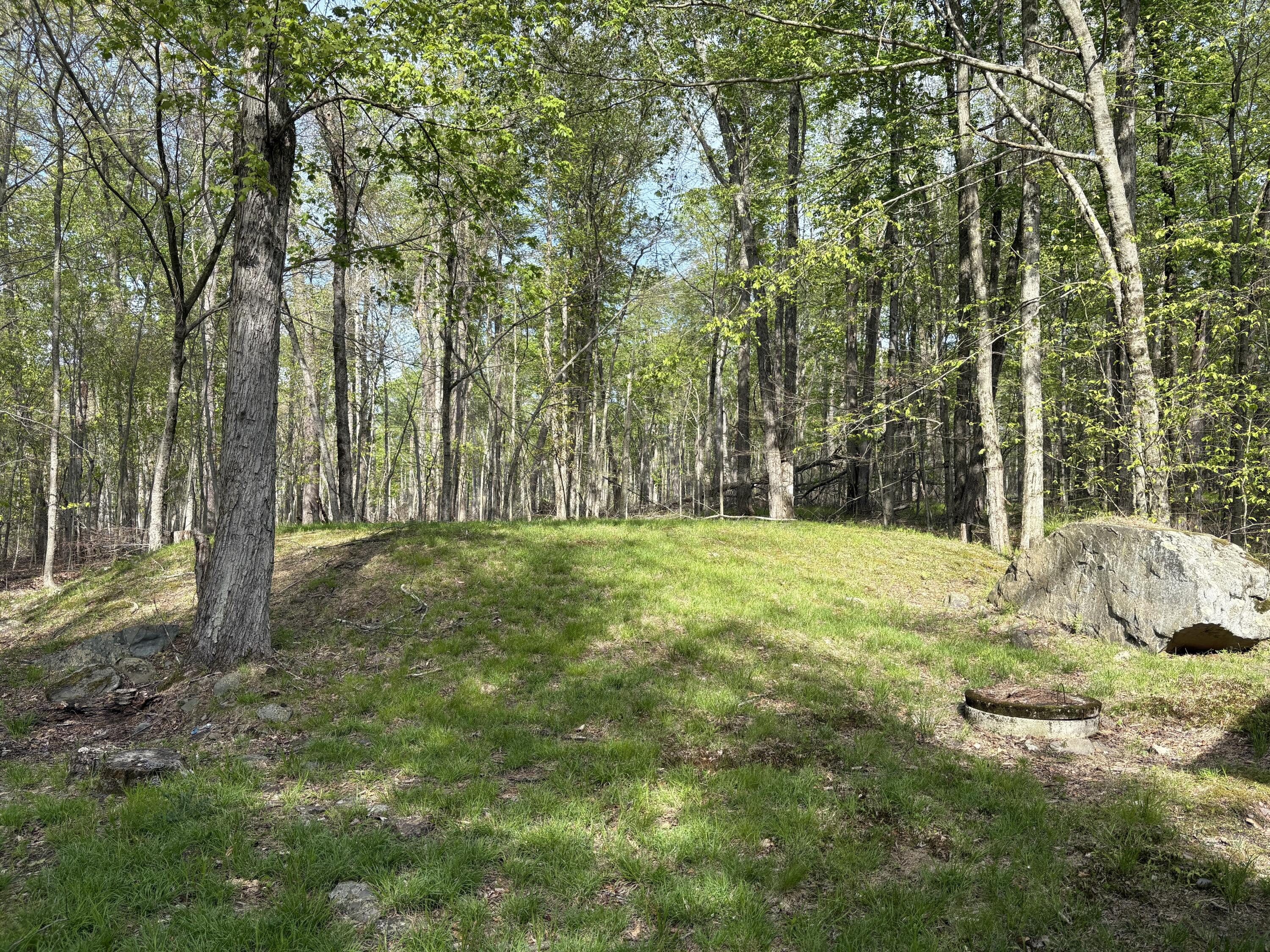 368 Ridge Road Pocono Lake, PA 18347 - Photo 34 of 42 a view of a yard with large trees