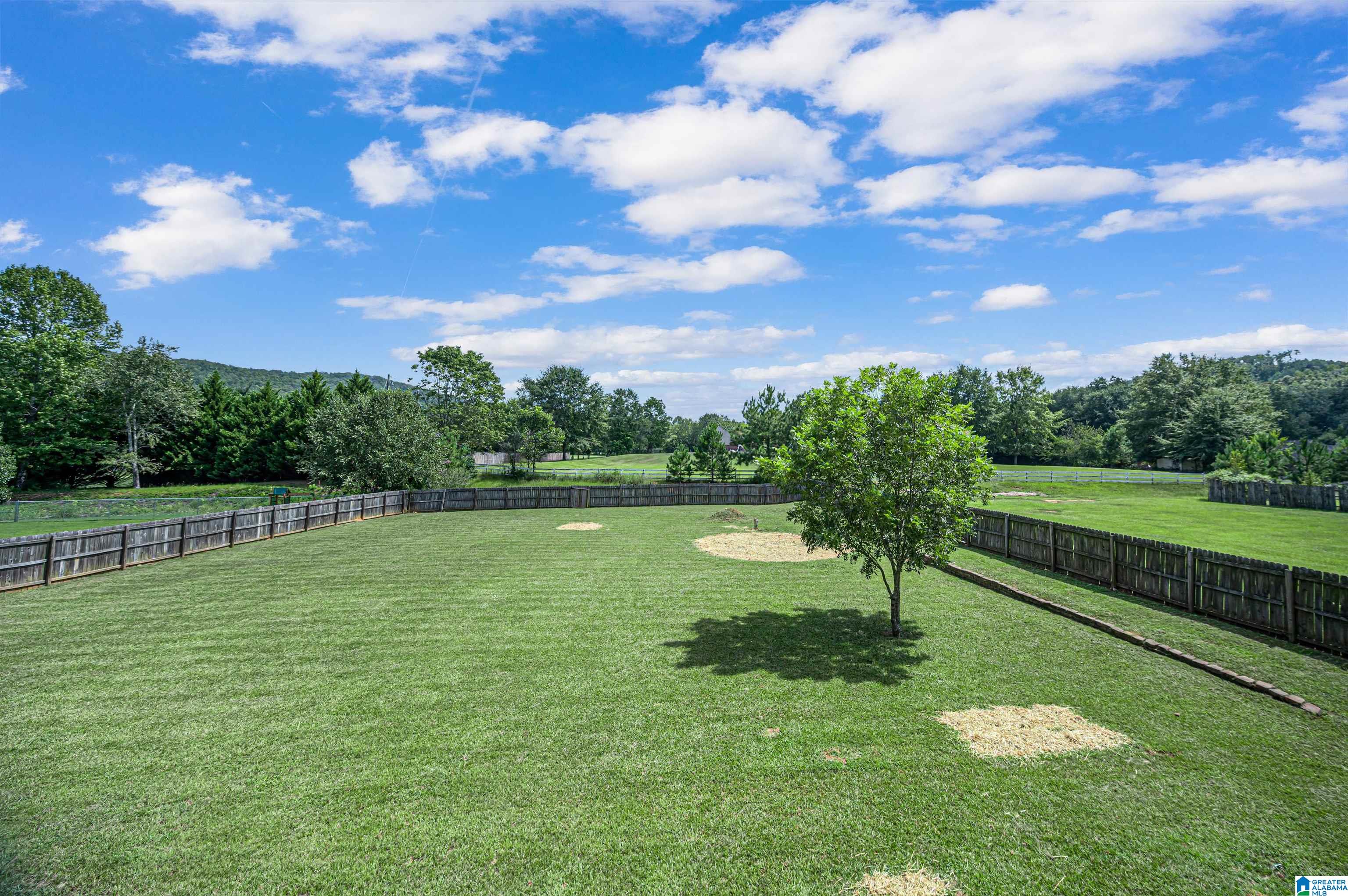 525 Legacy Drive Springville, AL 35146 - Photo 49 of 50