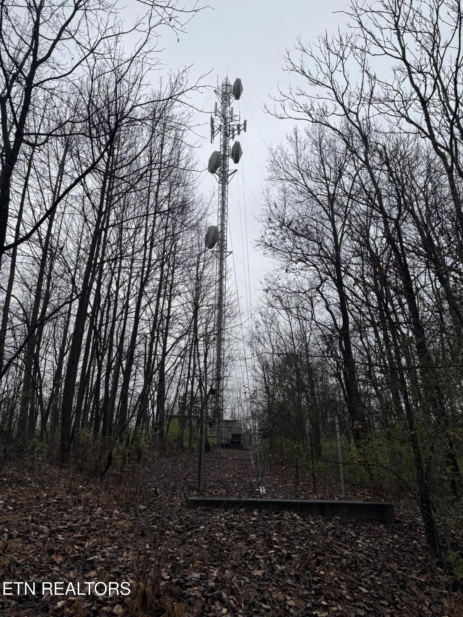 174 Veterans Road Sweetwater, TN 37874 - Photo 2 of 4 IMG_3465