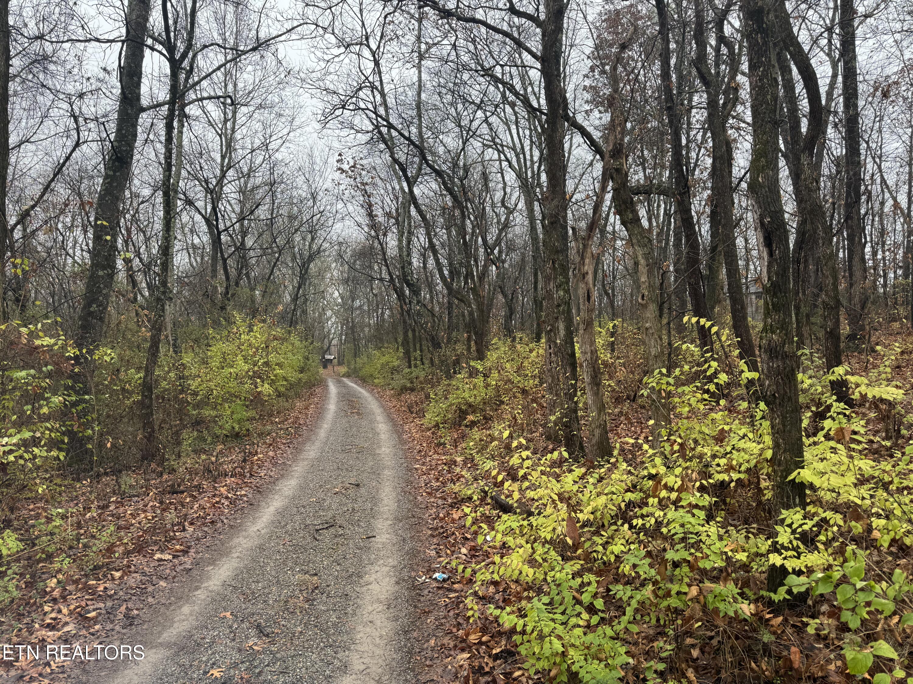 174 Veterans Road Sweetwater, TN 37874 - Photo 3 of 4 IMG_3461