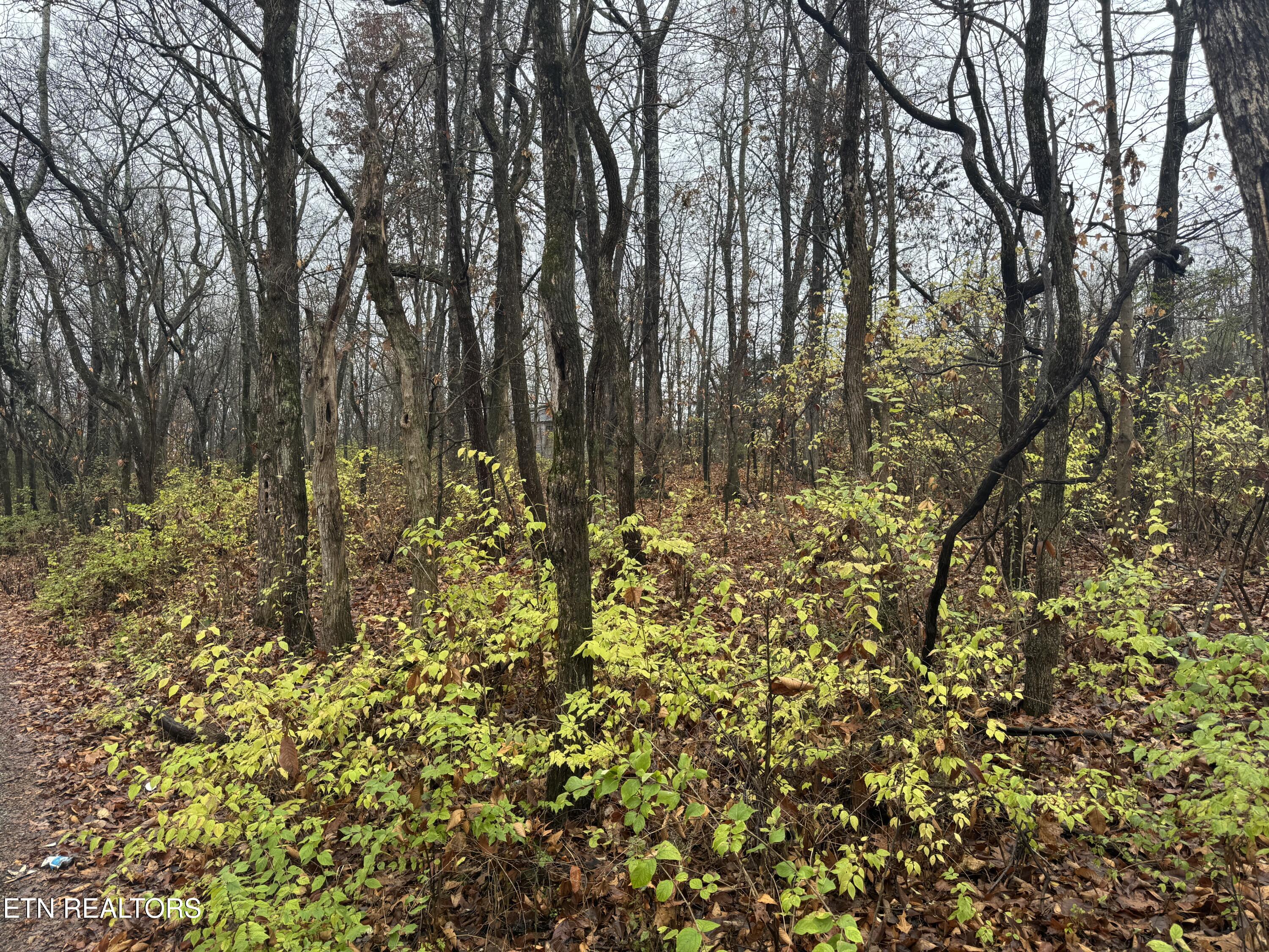 174 Veterans Road Sweetwater, TN 37874 - Photo 4 of 4 IMG_3462