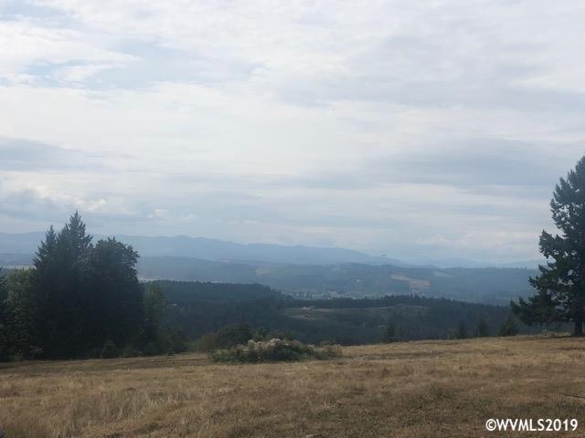 Richardson (parcel 2) Road Dallas, OR 97338 - Photo 1 of 14