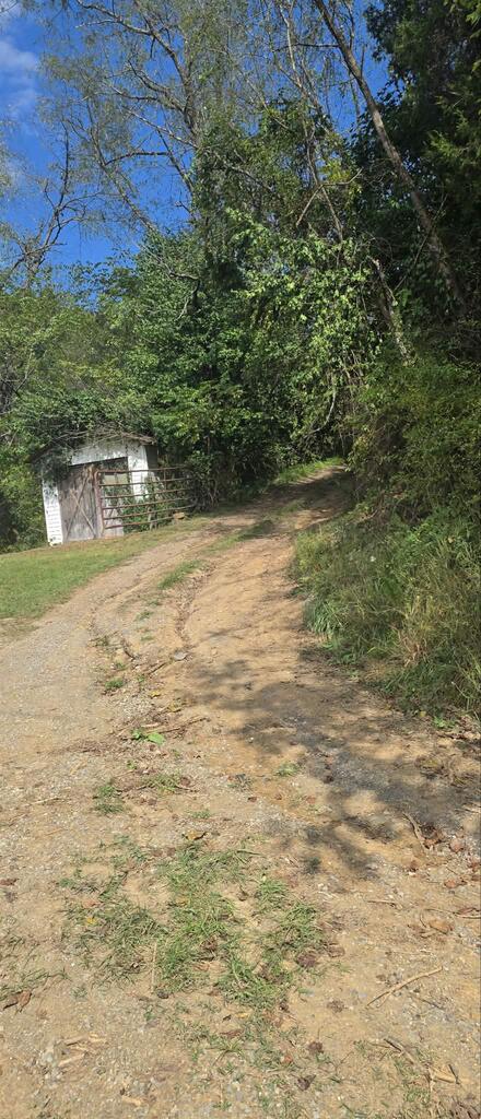 36-acres Baptist Valley Road, Unit 67 Cedar Bluff, VA 24609 - Photo 2 of 42 Gallery Image 2