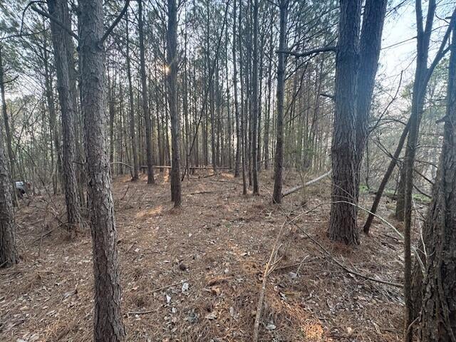 Stella Lockard Road Cordova, AL 35550 - Photo 8 of 18 IMG_9787