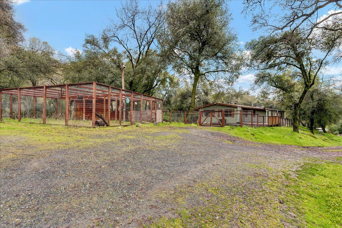 44246 Balch Park Road Springville, CA 93265 - Photo 6 of 46 06-06