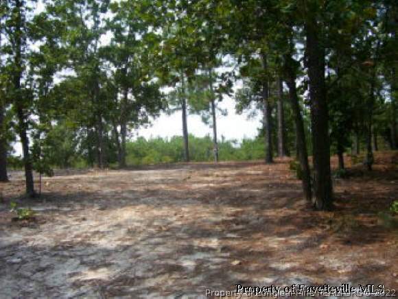 9613 Hunters Ridge Road Sanford, NC 27332 - Photo 1 of 4 Gallery Image 1
