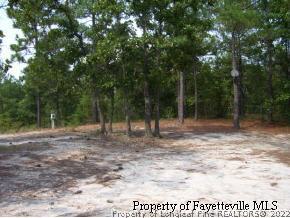 9613 Hunters Ridge Road Sanford, NC 27332 - Photo 2 of 4 Gallery Image 2