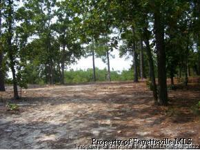 9613 Hunters Ridge Road Sanford, NC 27332 - Photo 3 of 4 Gallery Image 3