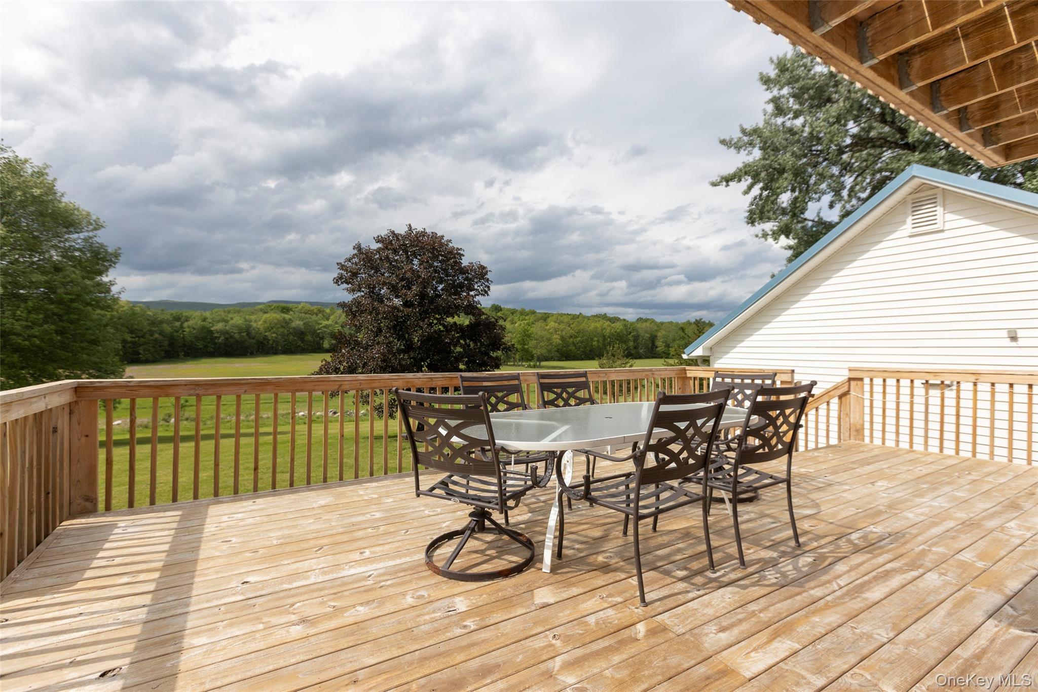 4 Low Road Wallkill, NY 12589 - Photo 18 of 50 deck immediately off the kitchen