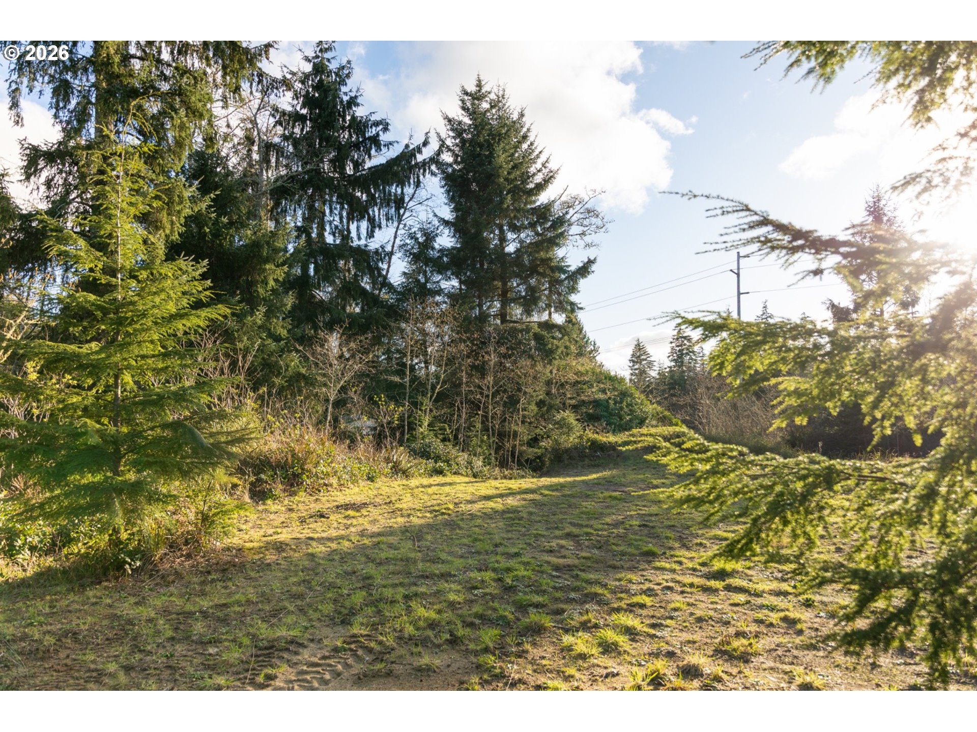 22308 Sandridge Road Ocean Park, WA 98640 - Photo 18 of 27 Buildable Area