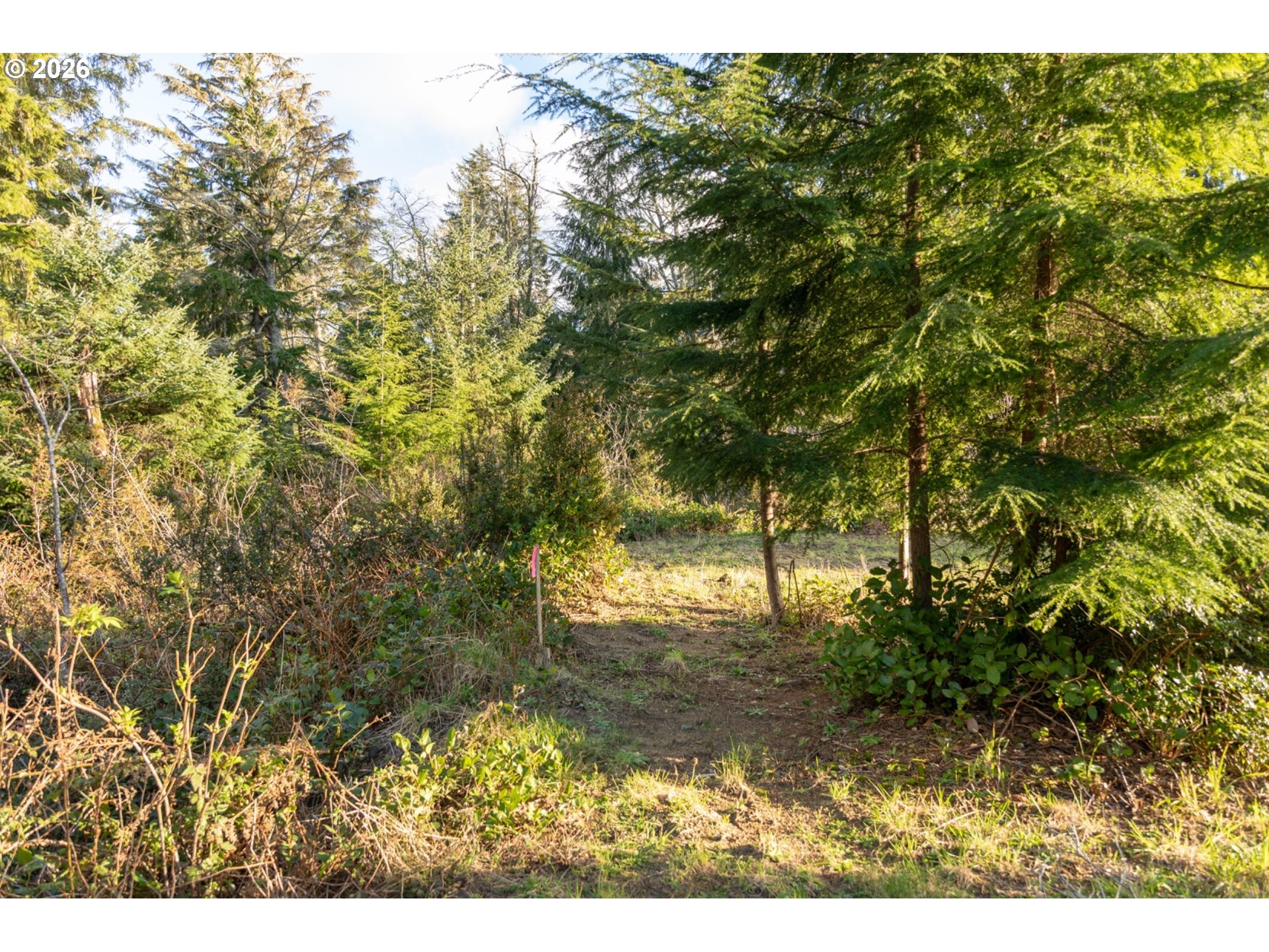 22308 Sandridge Road Ocean Park, WA 98640 - Photo 19 of 27