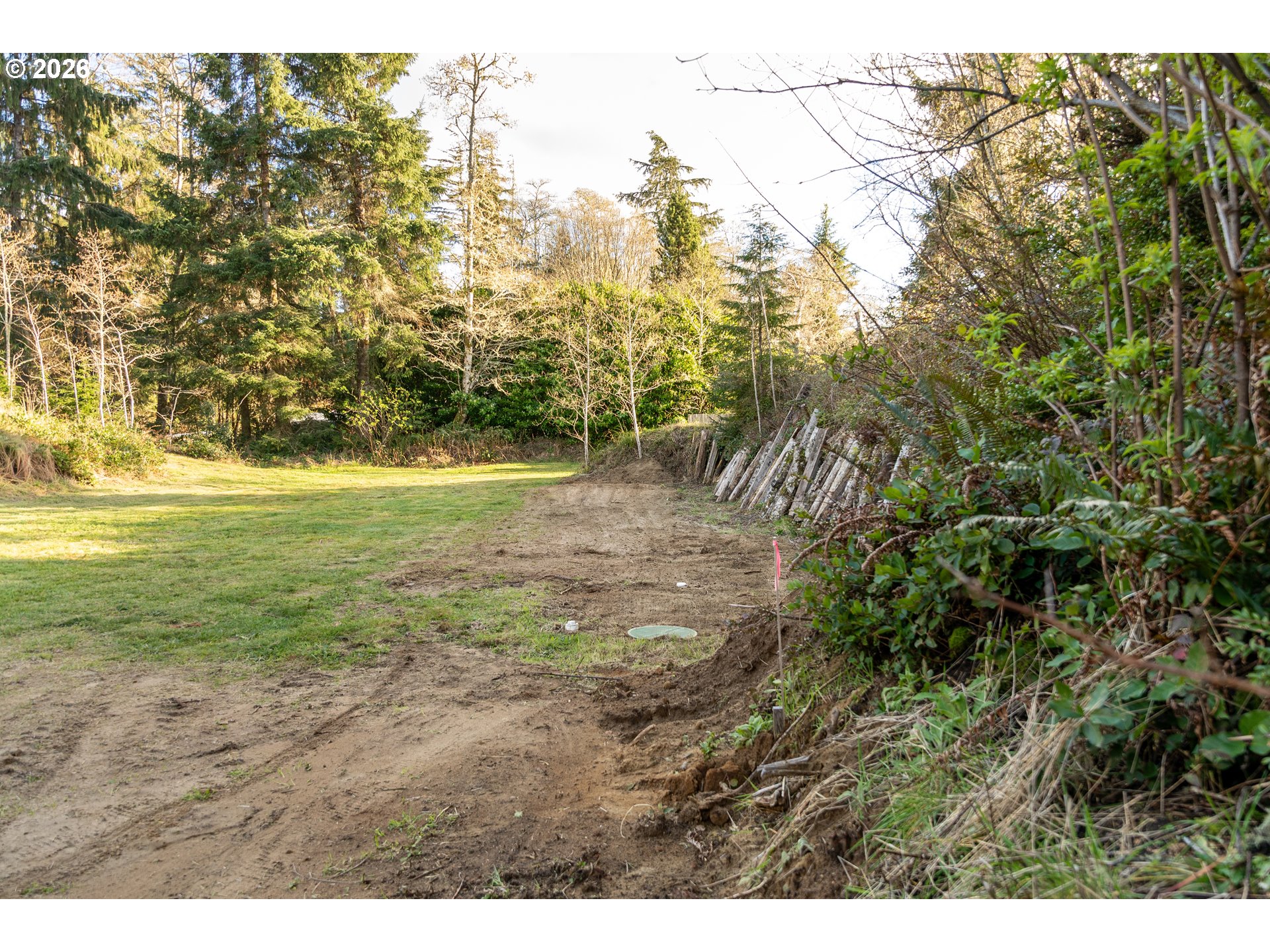 22308 Sandridge Road Ocean Park, WA 98640 - Photo 7 of 27 Buildable Area