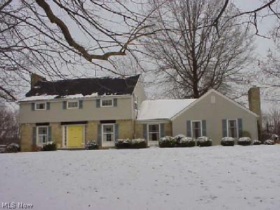 7007 Wadsworth Road Medina, OH 44256 - Photo 1 of 1 Gallery Image 1