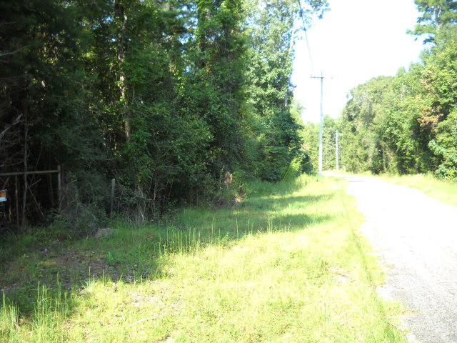 Xx Baughman Road Poplarville, MS 39470 - Photo 1 of 1 Main View