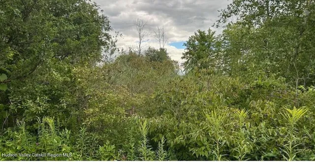 a view of a building