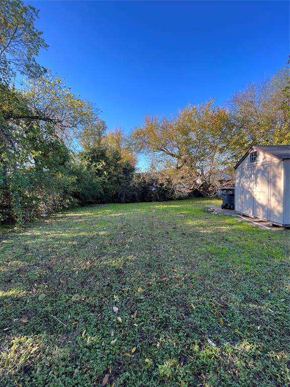 3919 Carl Street Dallas, TX 75210 - Photo 17 of 17 a view of a field with an trees