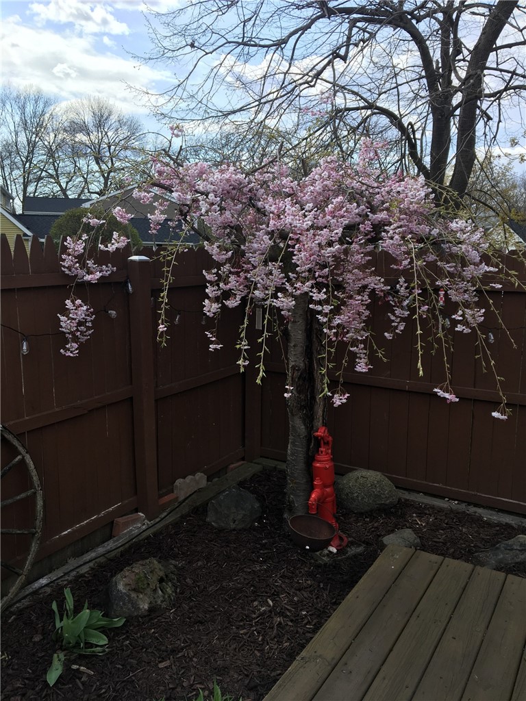 295 Hidden Valley Road Gates, NY 14624 - Photo 39 of 49