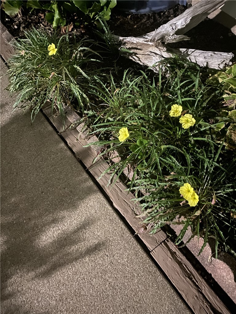 295 Hidden Valley Road Gates, NY 14624 - Photo 41 of 49