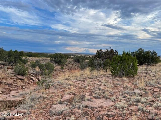 3932 Clyde Road Snowflake, AZ 85937 - Photo 18 of 25