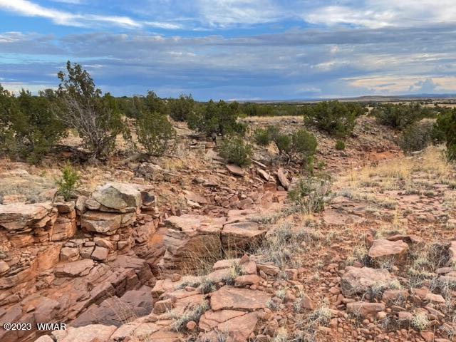 3932 Clyde Road Snowflake, AZ 85937 - Photo 20 of 25