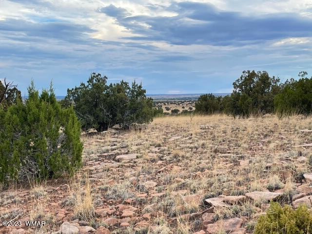 3932 Clyde Road Snowflake, AZ 85937 - Photo 21 of 25