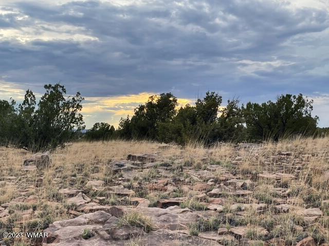 3932 Clyde Road Snowflake, AZ 85937 - Photo 22 of 25