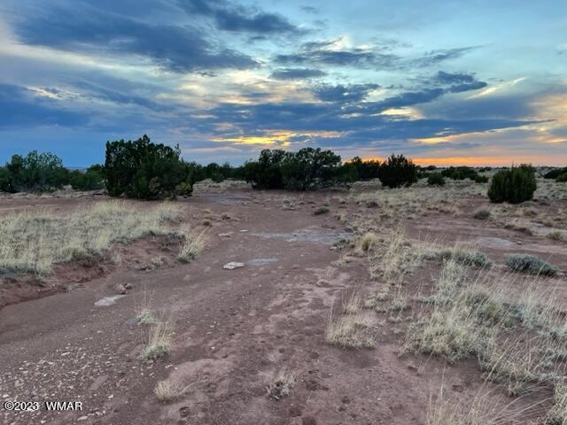 3932 Clyde Road Snowflake, AZ 85937 - Photo 23 of 25