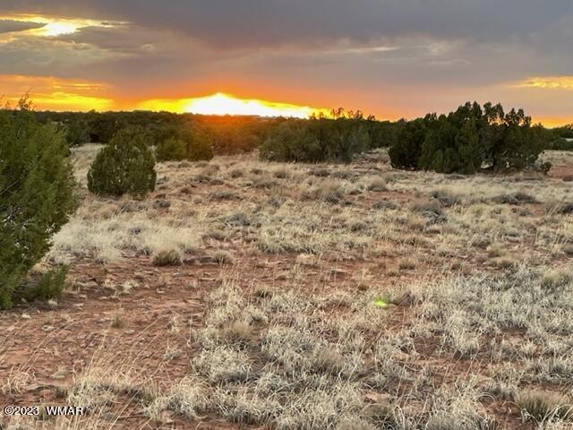 3932 Clyde Road Snowflake, AZ 85937 - Photo 24 of 25
