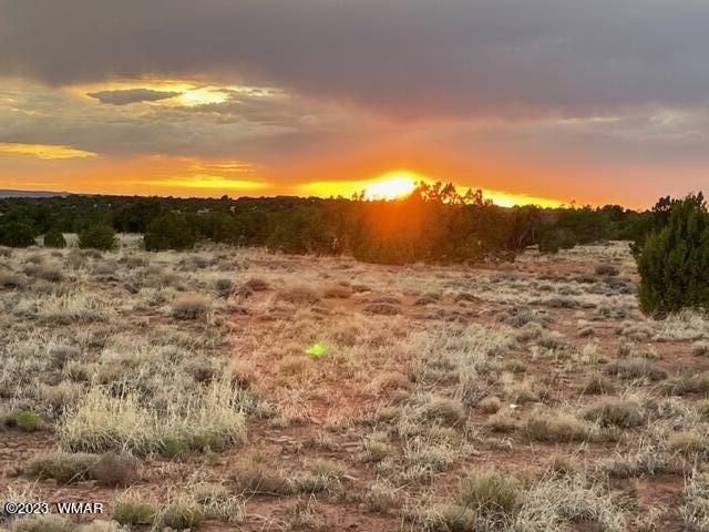 3932 Clyde Road Snowflake, AZ 85937 - Photo 25 of 25