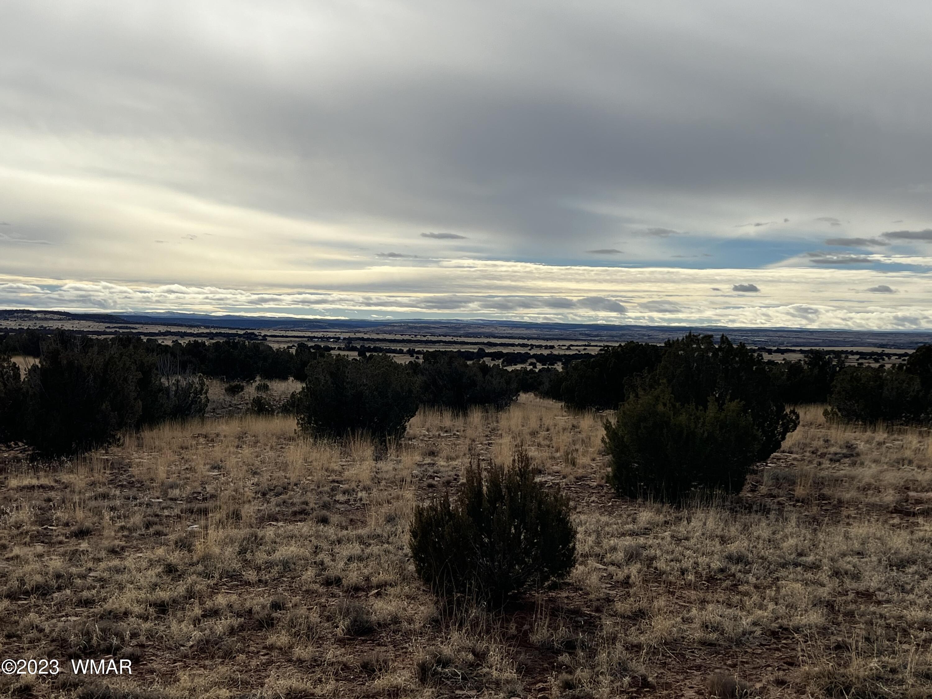3932 Clyde Road Snowflake, AZ 85937 - Photo 6 of 25