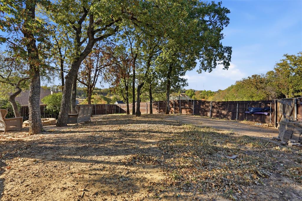 704 Timberview Court North Fort Worth, TX 76112 - Photo 37 of 40 a view of a yard with a trees