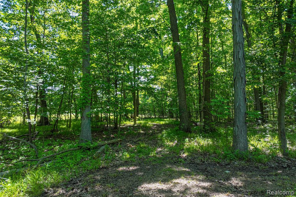3075 Crandall Road Howell, MI 48855 - Photo 16 of 25