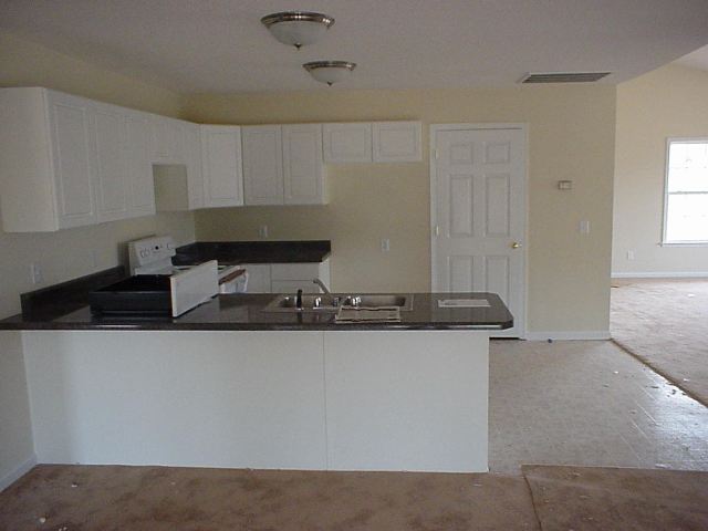 206 Spring Estates Drive Liberty, SC 29657 - Photo 3 of 5