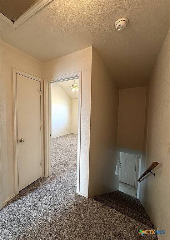 4302 Sylvia Drive, Unit B Killeen, TX 76549 - Photo 16 of 16