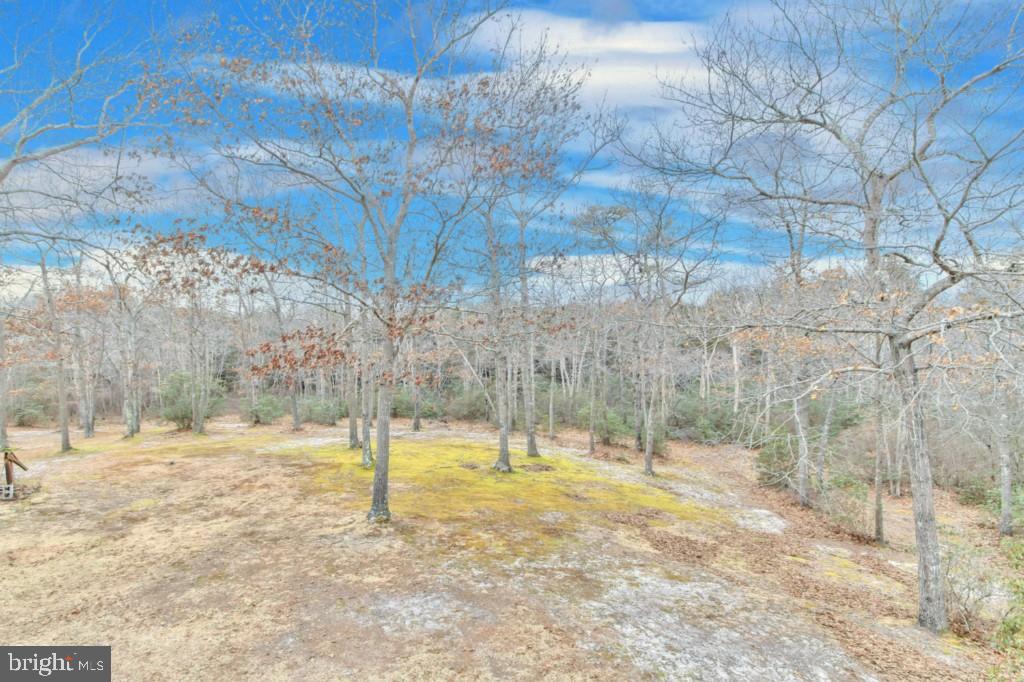 89 Munion Field Road Tuckerton, NJ 08087 - Photo 31 of 36 Gallery Image 31