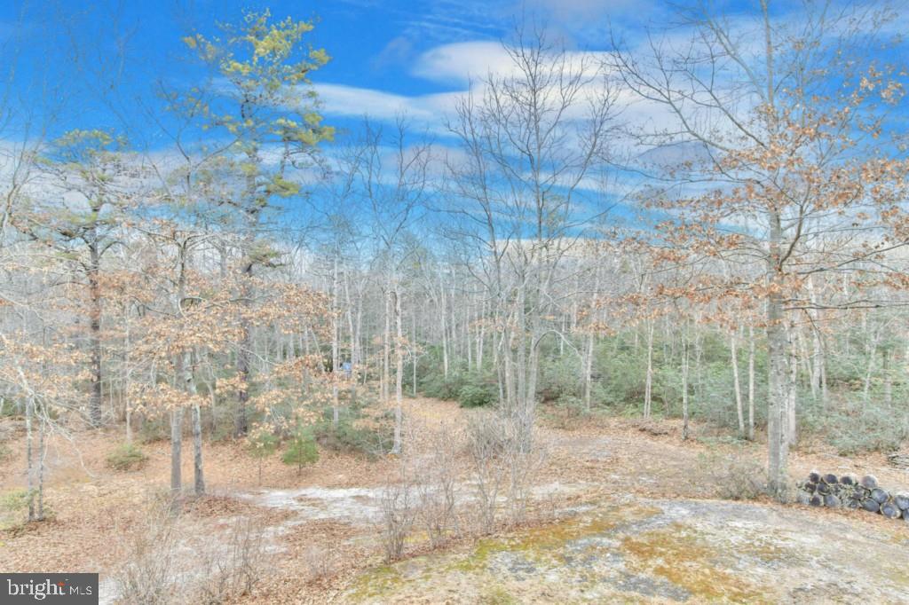 89 Munion Field Road Tuckerton, NJ 08087 - Photo 33 of 36 Gallery Image 33