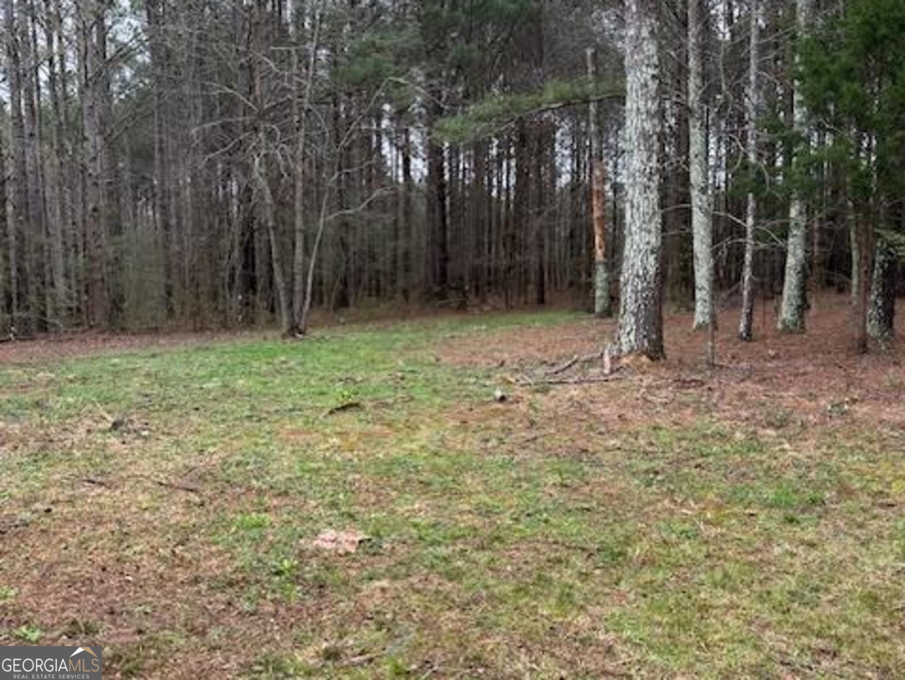 2791 Old Mill Road Rutledge, GA 30663 - Photo 25 of 26 a backyard of a house with lots of green space