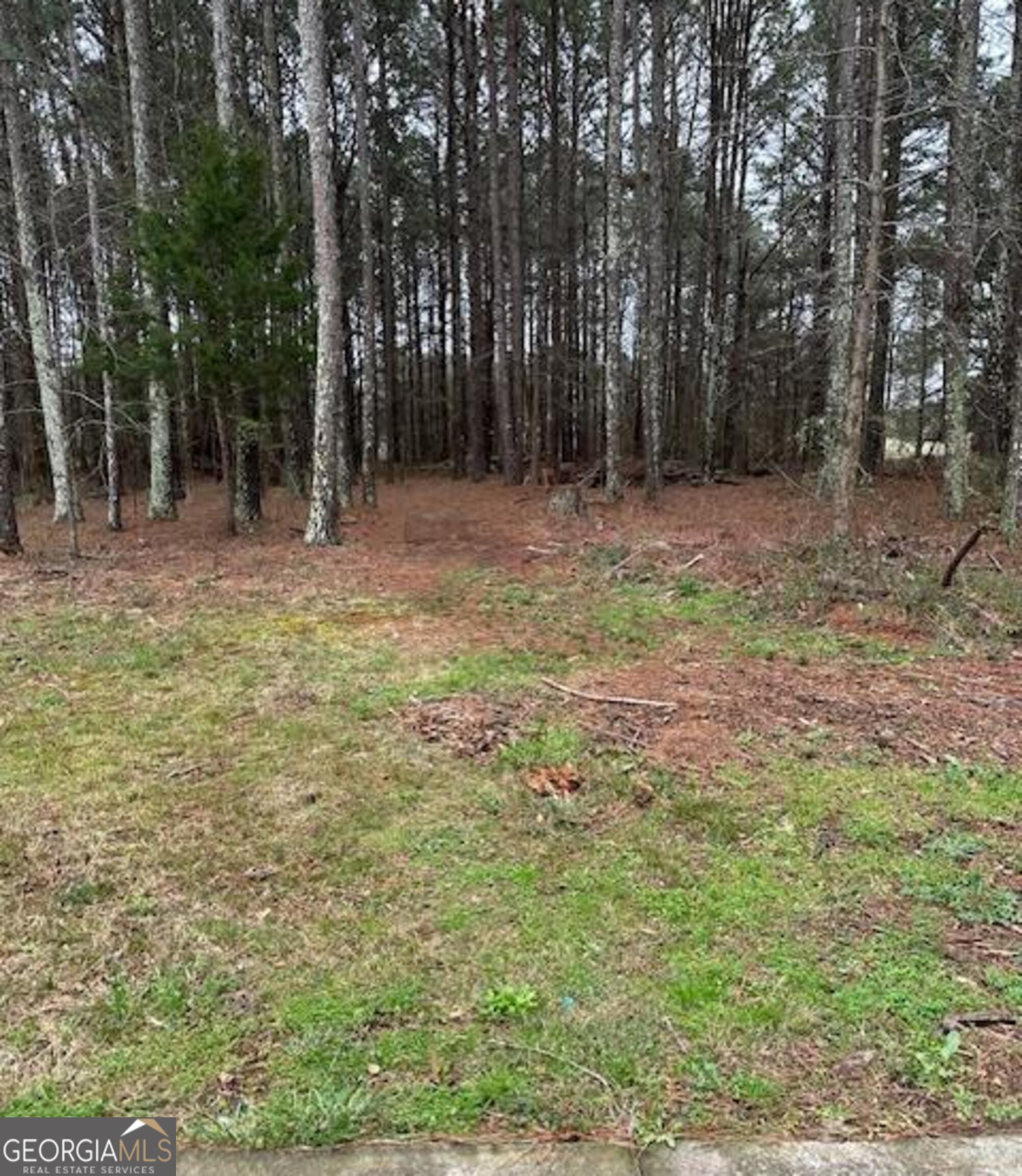 2791 Old Mill Road Rutledge, GA 30663 - Photo 26 of 26 a backyard of a house with lots of green space