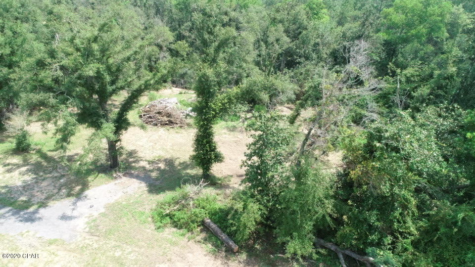 952 Highway 231 Alford, FL 32420 - Photo 15 of 17