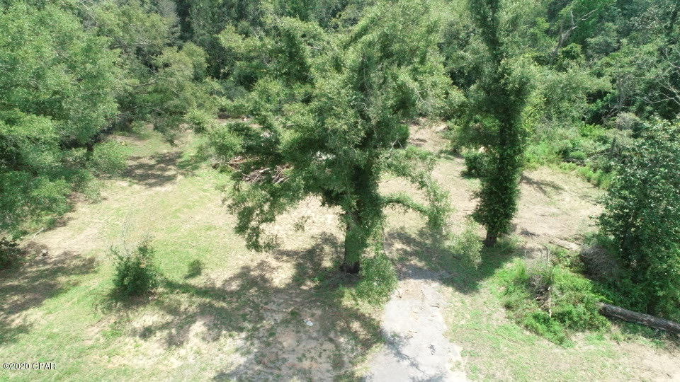 952 Highway 231 Alford, FL 32420 - Photo 16 of 17